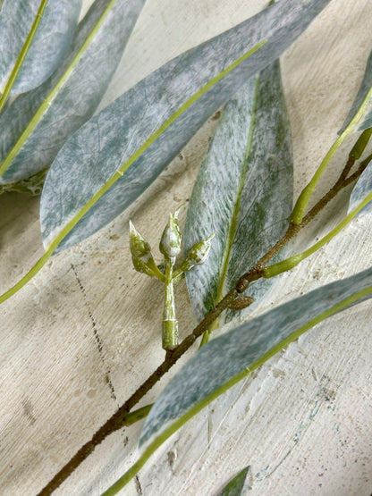 38 Inch Grey Eucalyptus Seed Spray