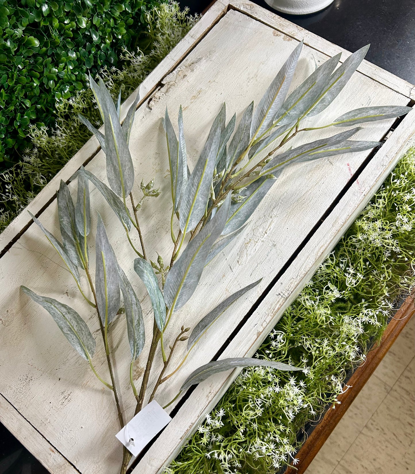 38 Inch Grey Eucalyptus Seed Spray
