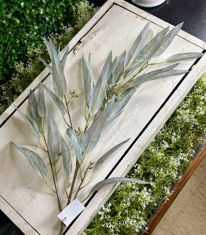 38 Inch Grey Eucalyptus Seed Spray