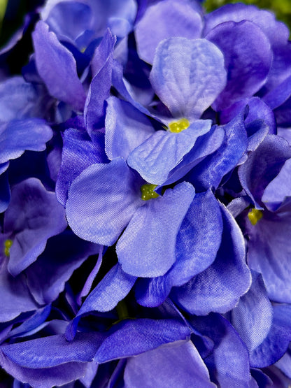 18 Inch Periwinkle Hydrangea Bush