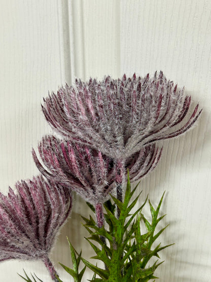 26 Inch Purple Pincushion Protea Spray