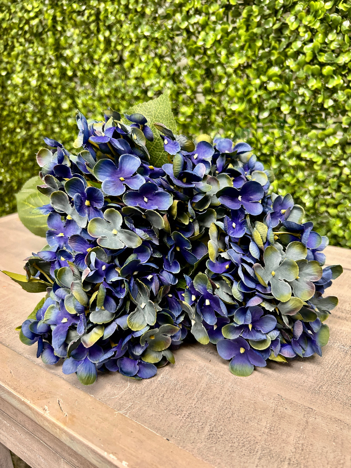 18 Inch Royal Blue Hydrangea Bush