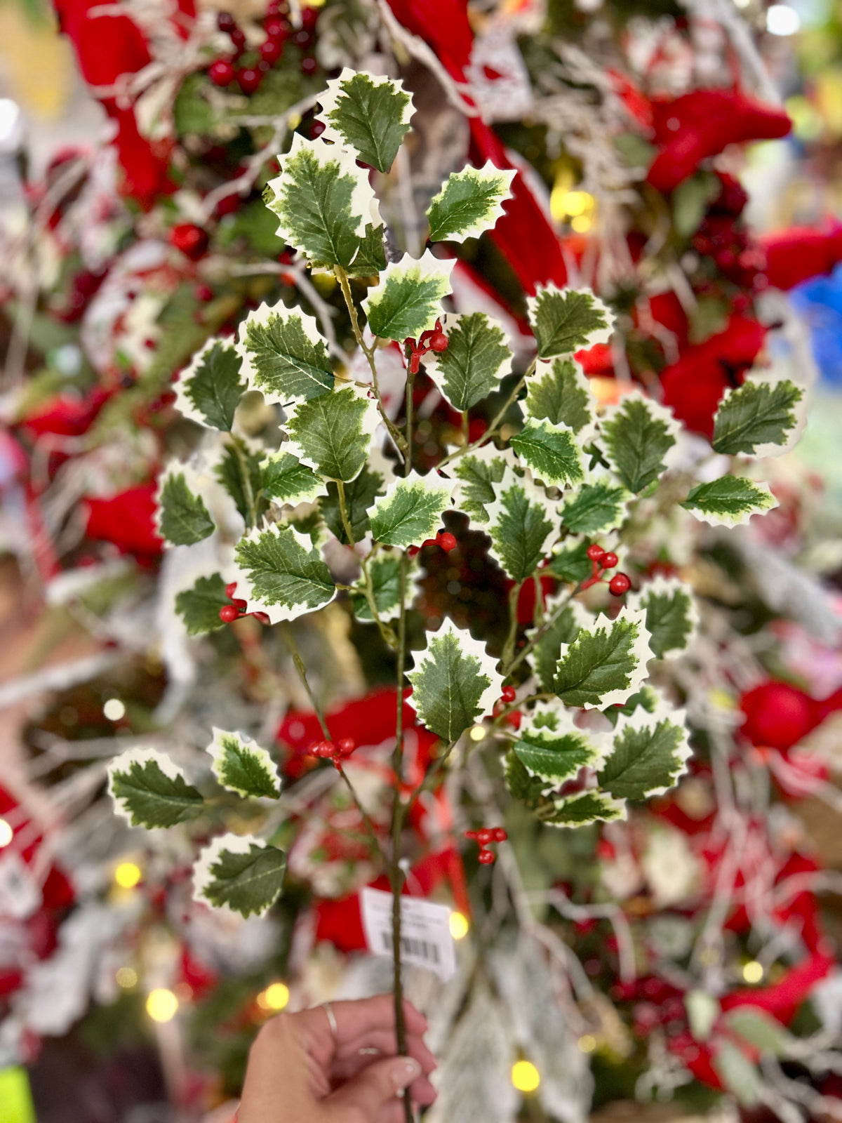 27.5 Inch Green Holly Bush