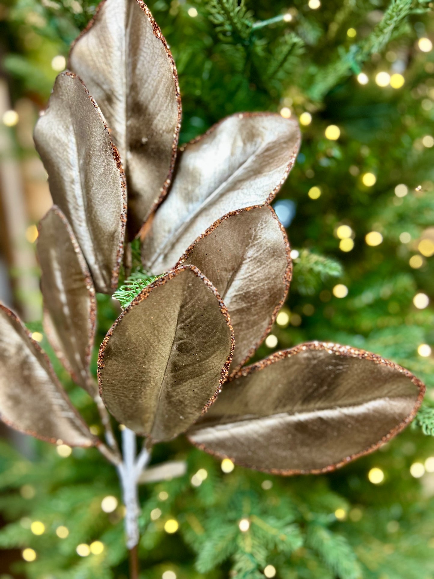 24 Inch Brown Magnolia Leaf Spray