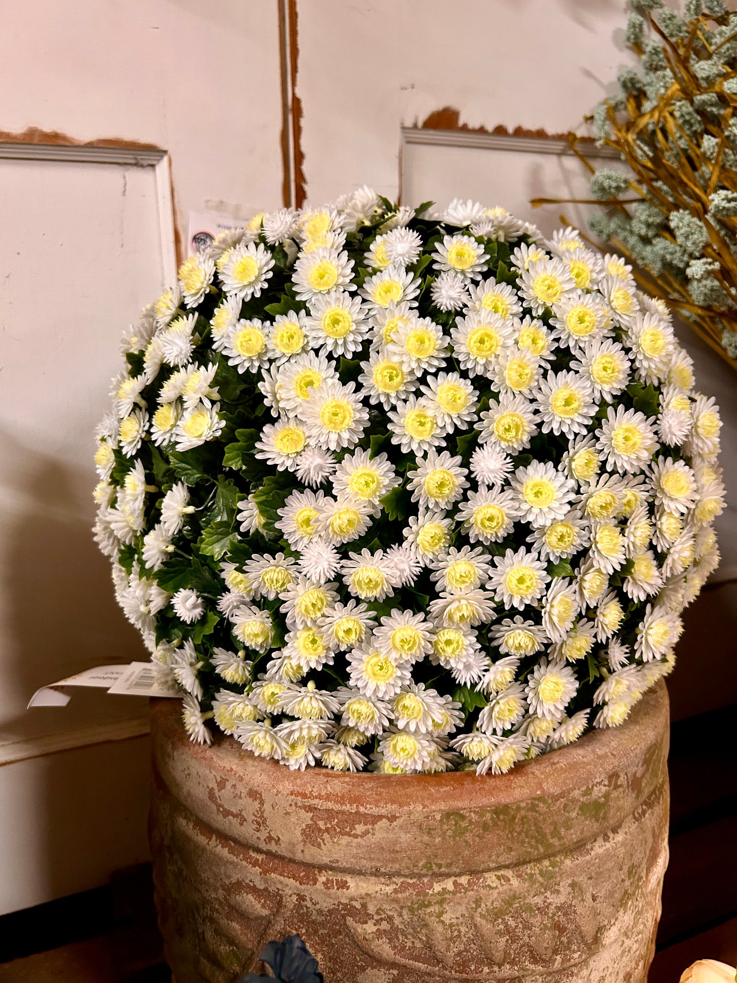 16 Inch Cream Mum Topiary Ball