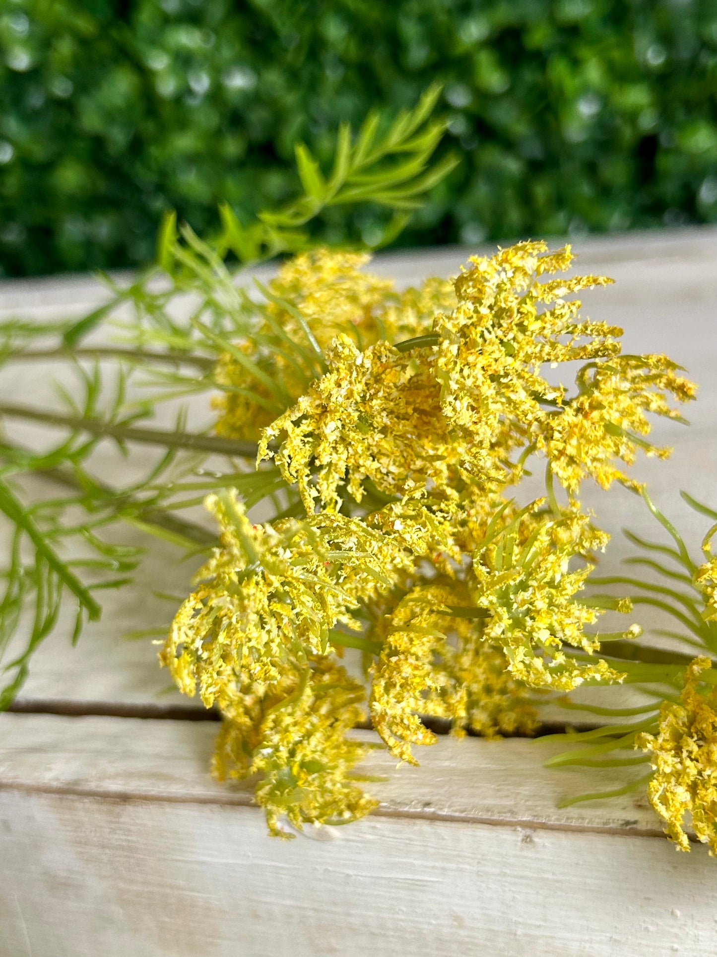 32 Inch Yellow Queen Anne's Lace Spray