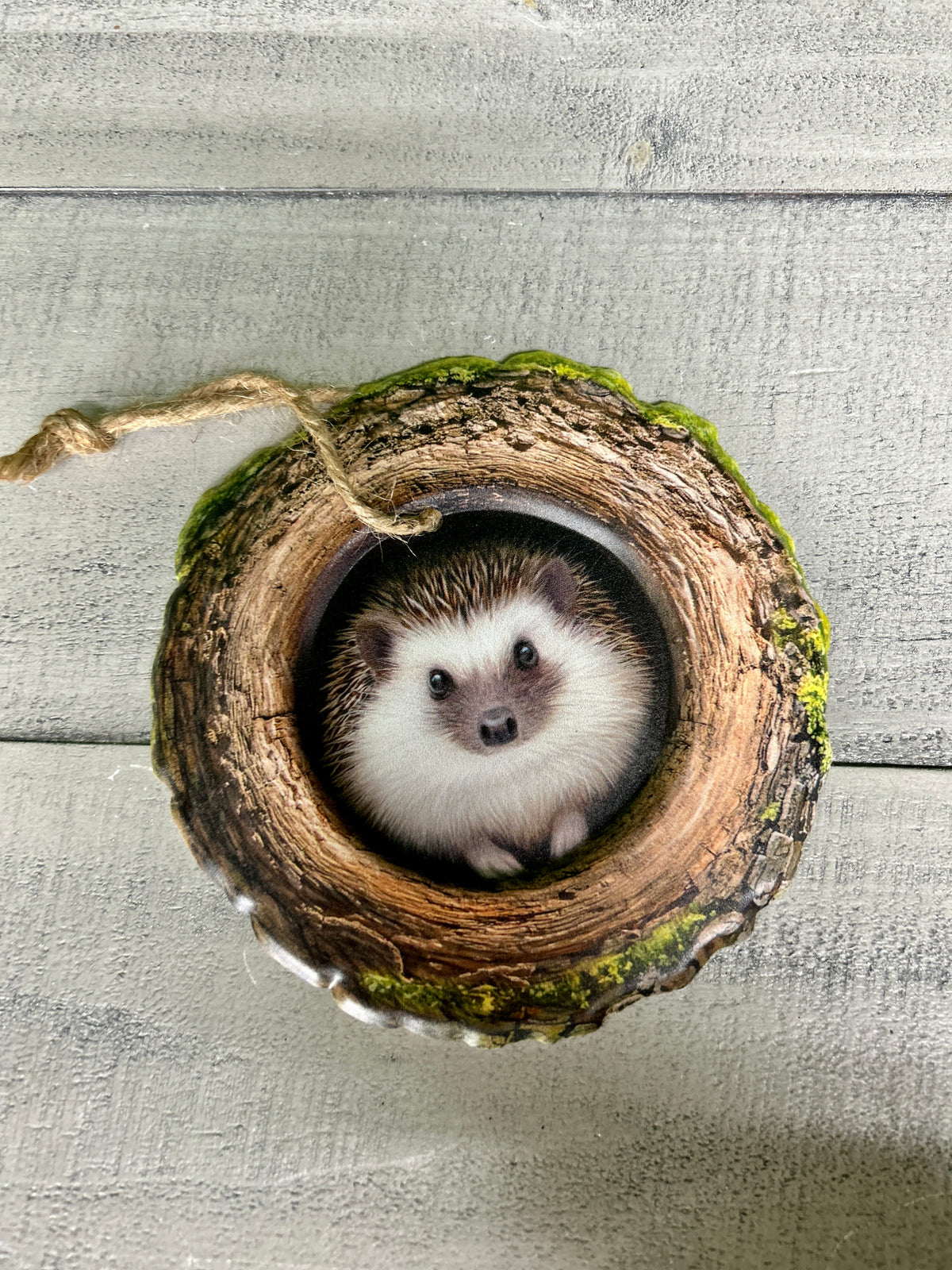 5.25 Inch Hedgehog In A Tree Sign