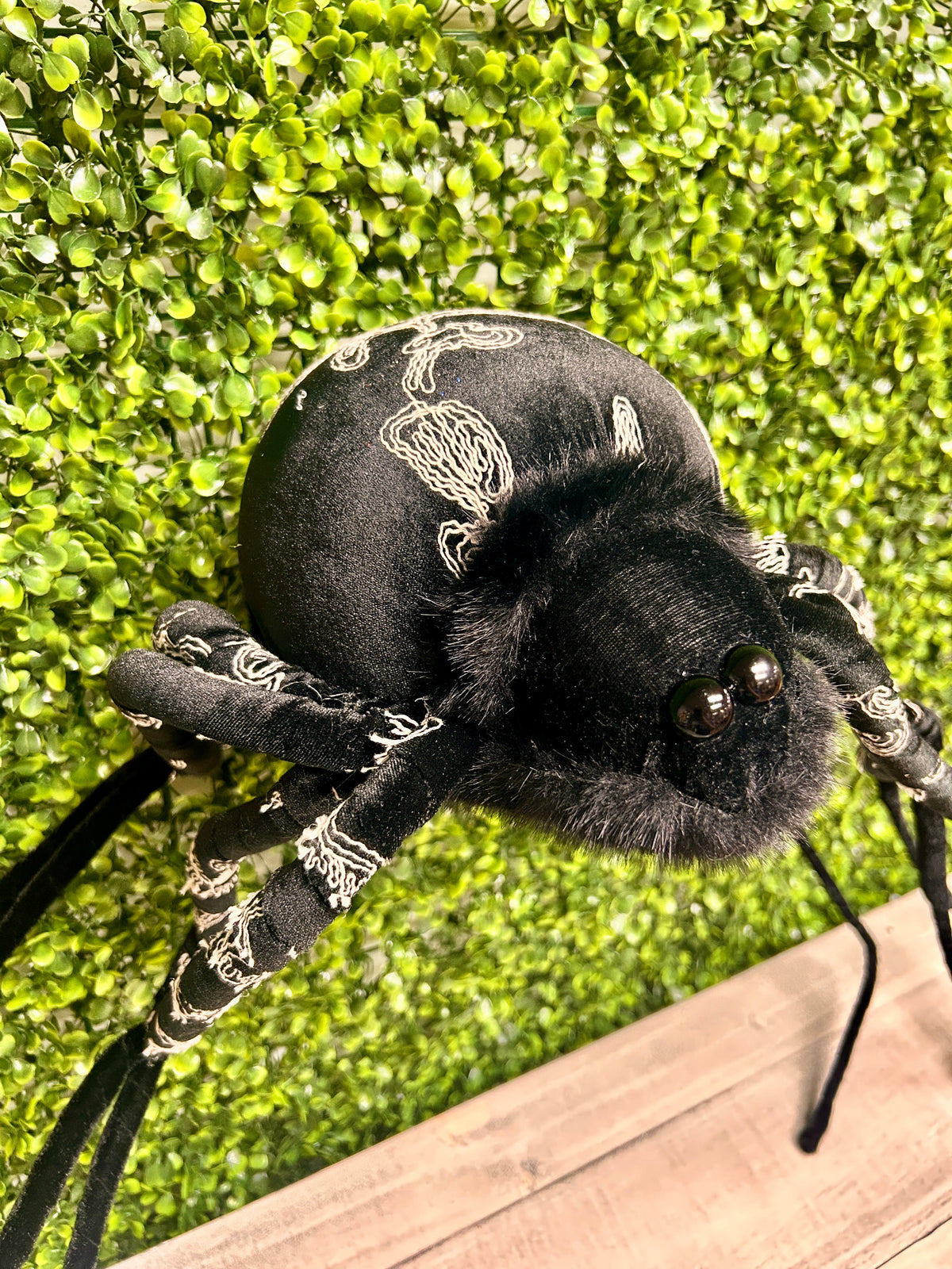 38 Inch Black Spider