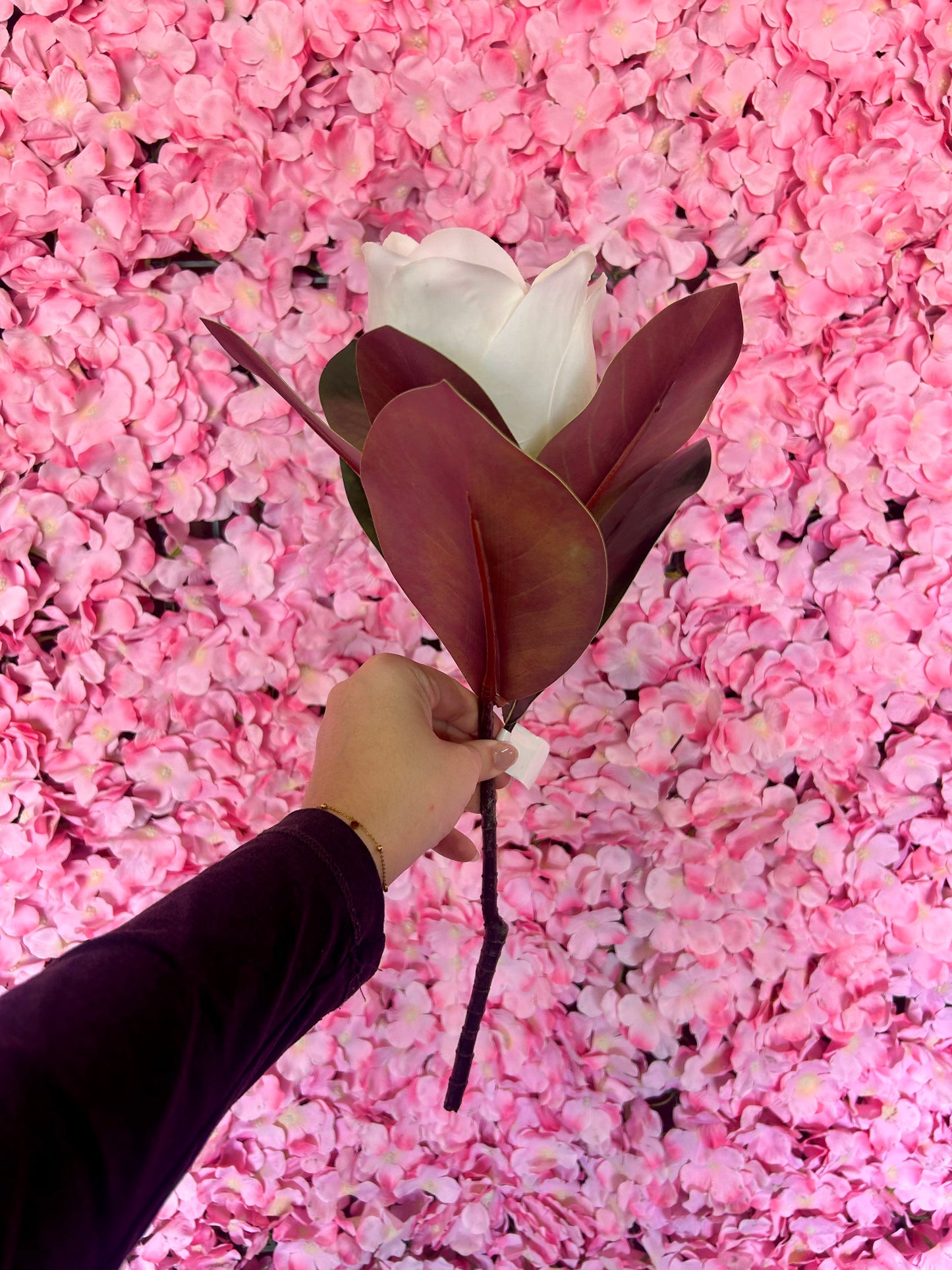 17 Inch White Magnolia Stem
