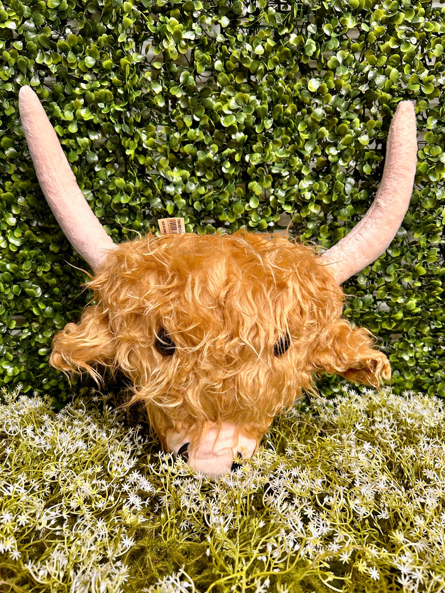 18 Inch Highland Cow Head Decor