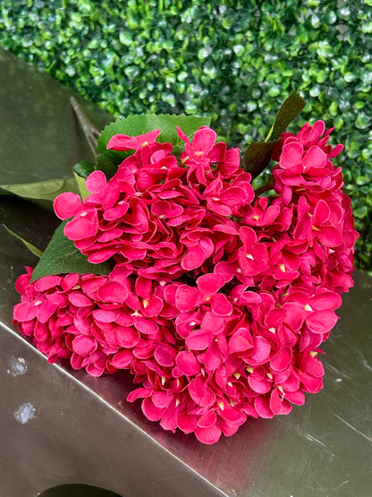 16 Inch Fuchsia Hydrangea Bush
