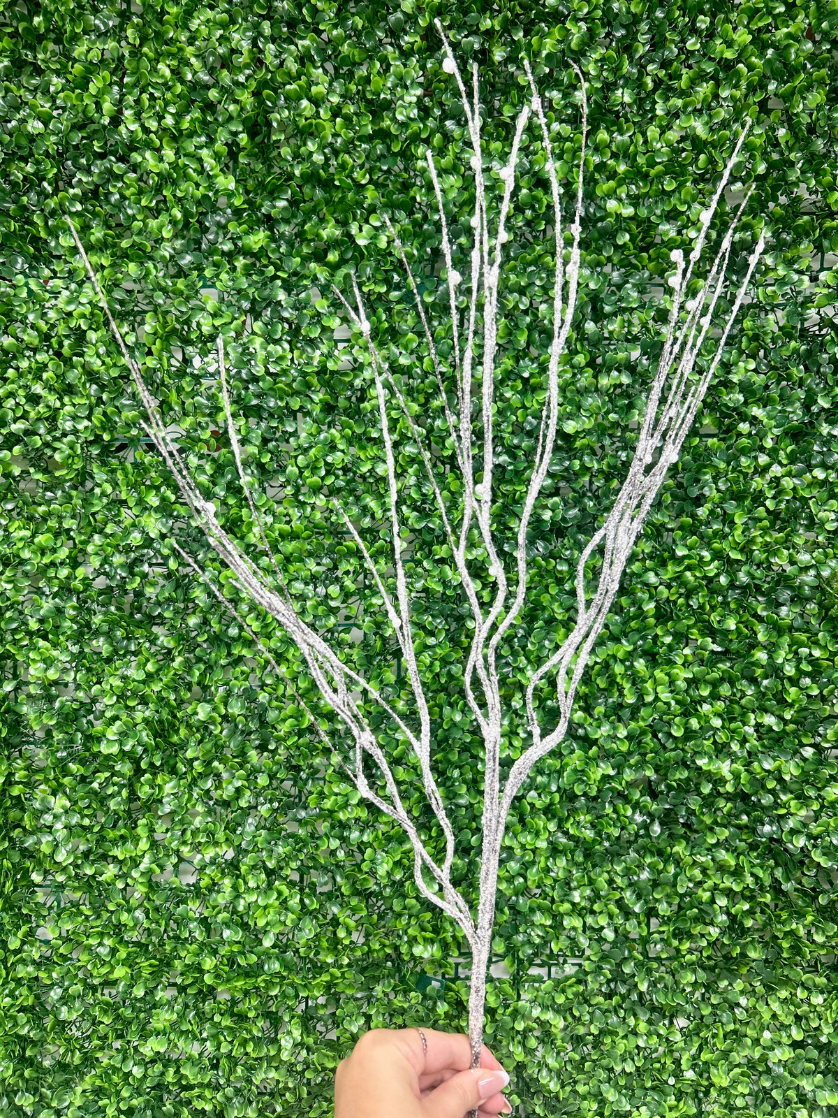 32 Inch Frosted Curly Twig Spray