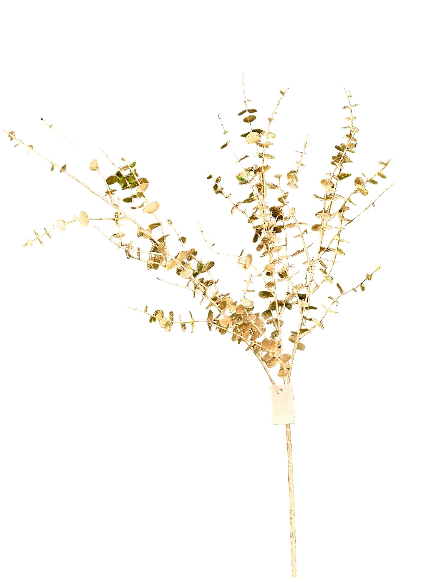 29 Inch Champagne Eucalyptus Bush