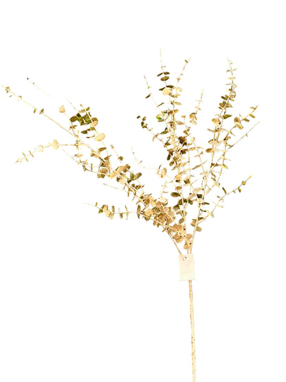 29 Inch Champagne Eucalyptus Bush