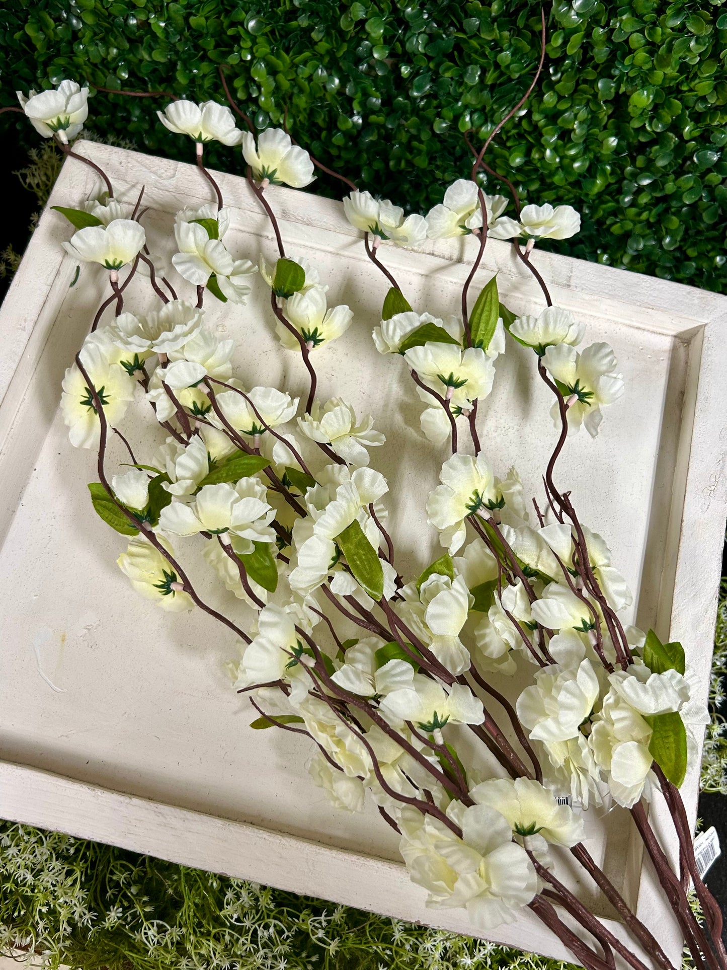36 Inch Cream Blossom Bush
