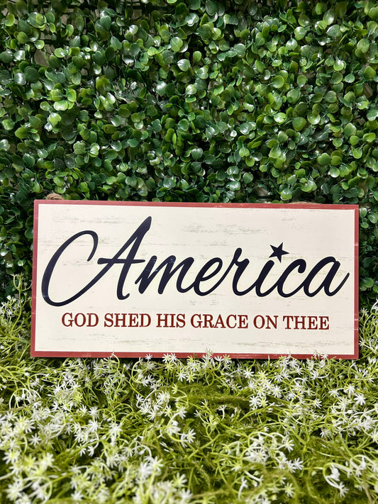 12.5 Inch America God Shed His Grace Wood Sign