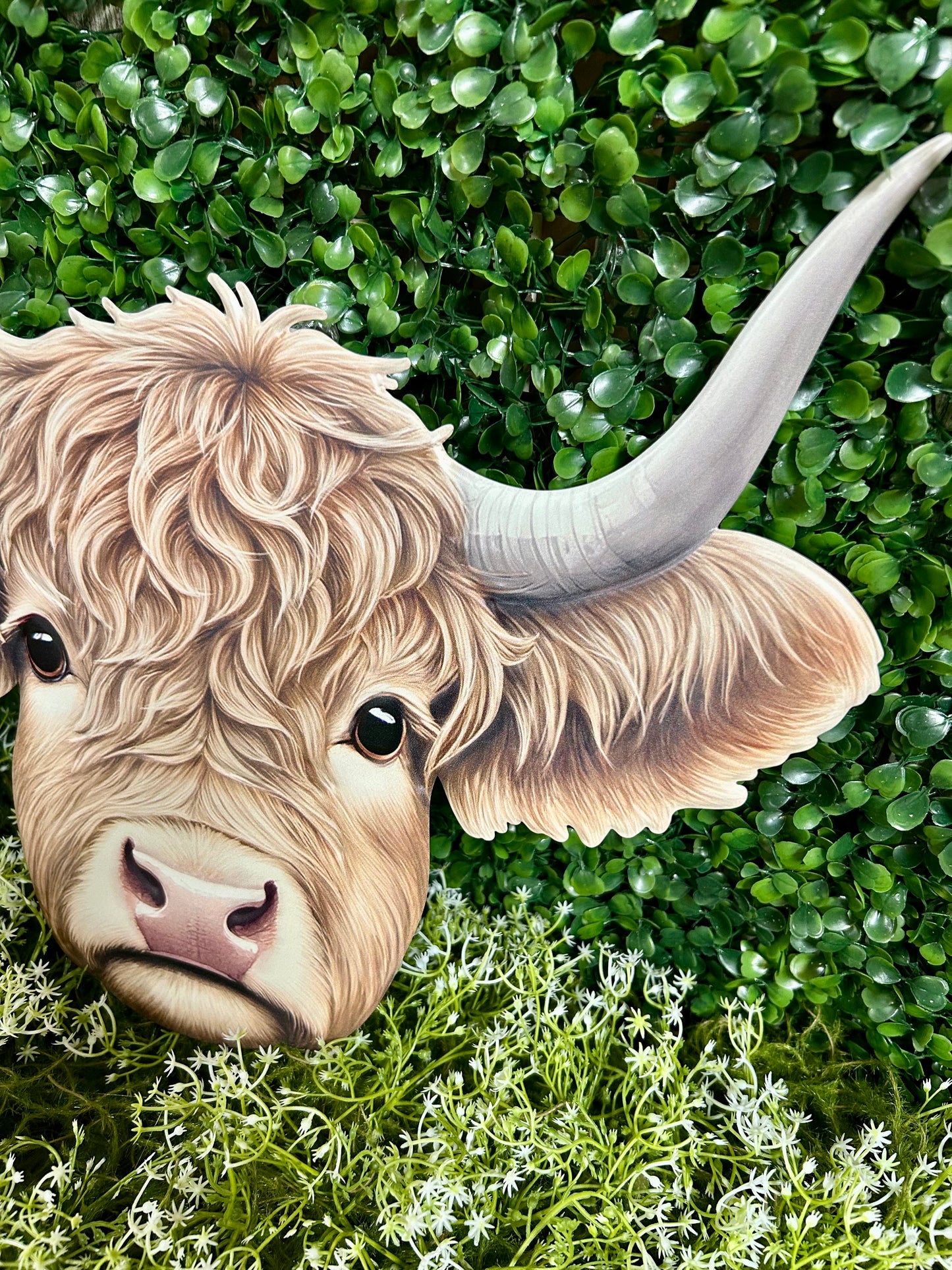 15.5 Inch Highland Cow Sign