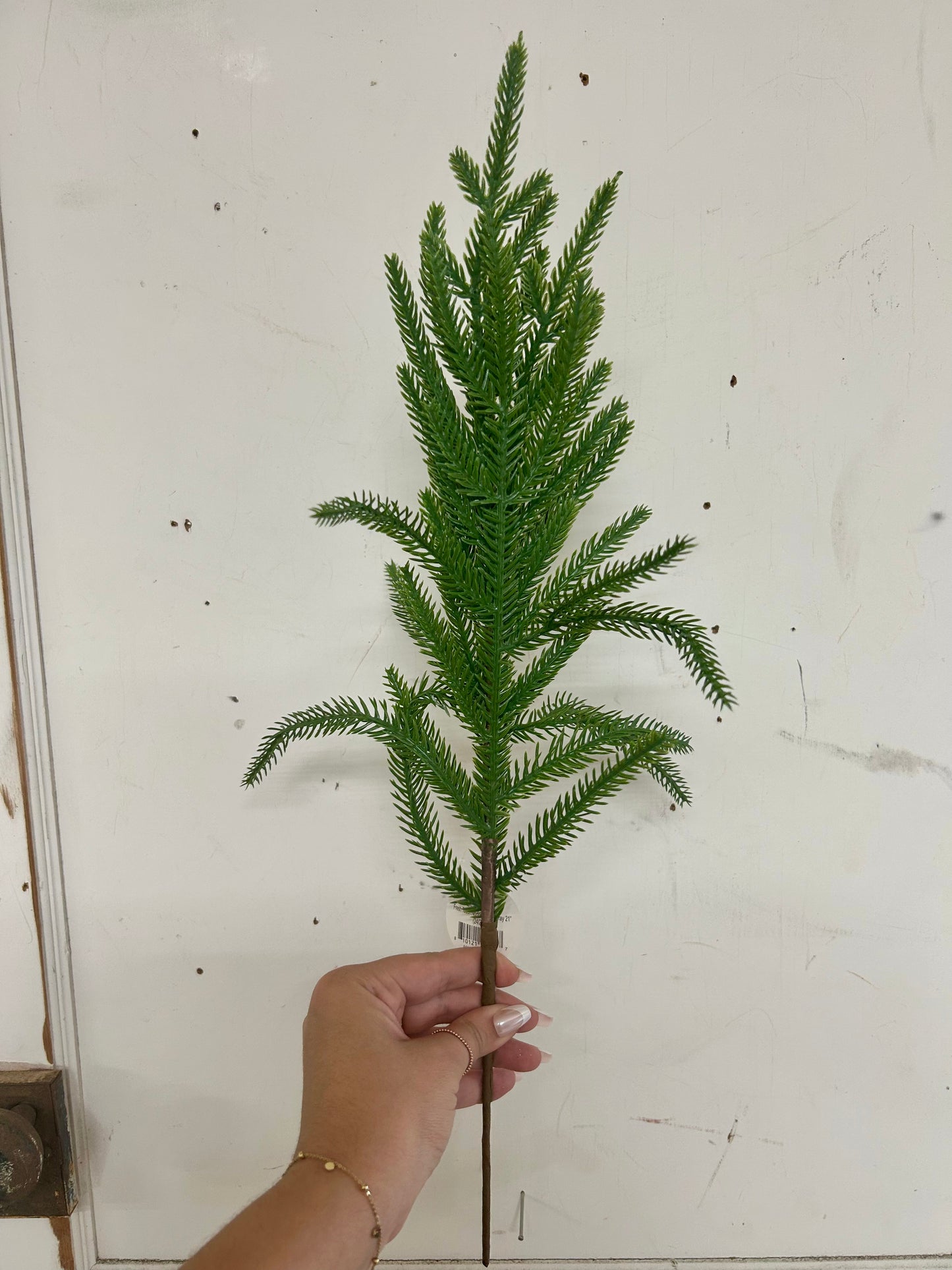 21 Inch Fresh Touch Norfolk Pine Spray