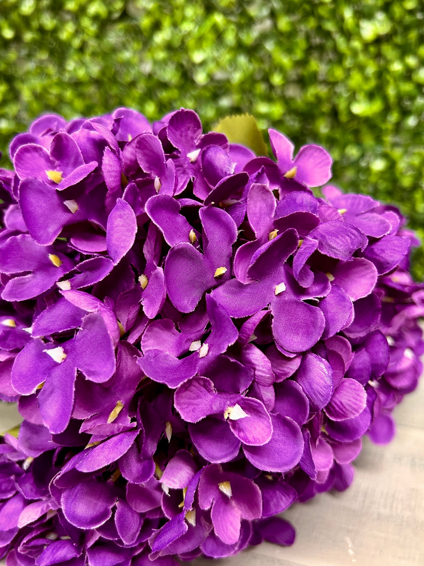 18 Inch Purple Hydrangea Bush
