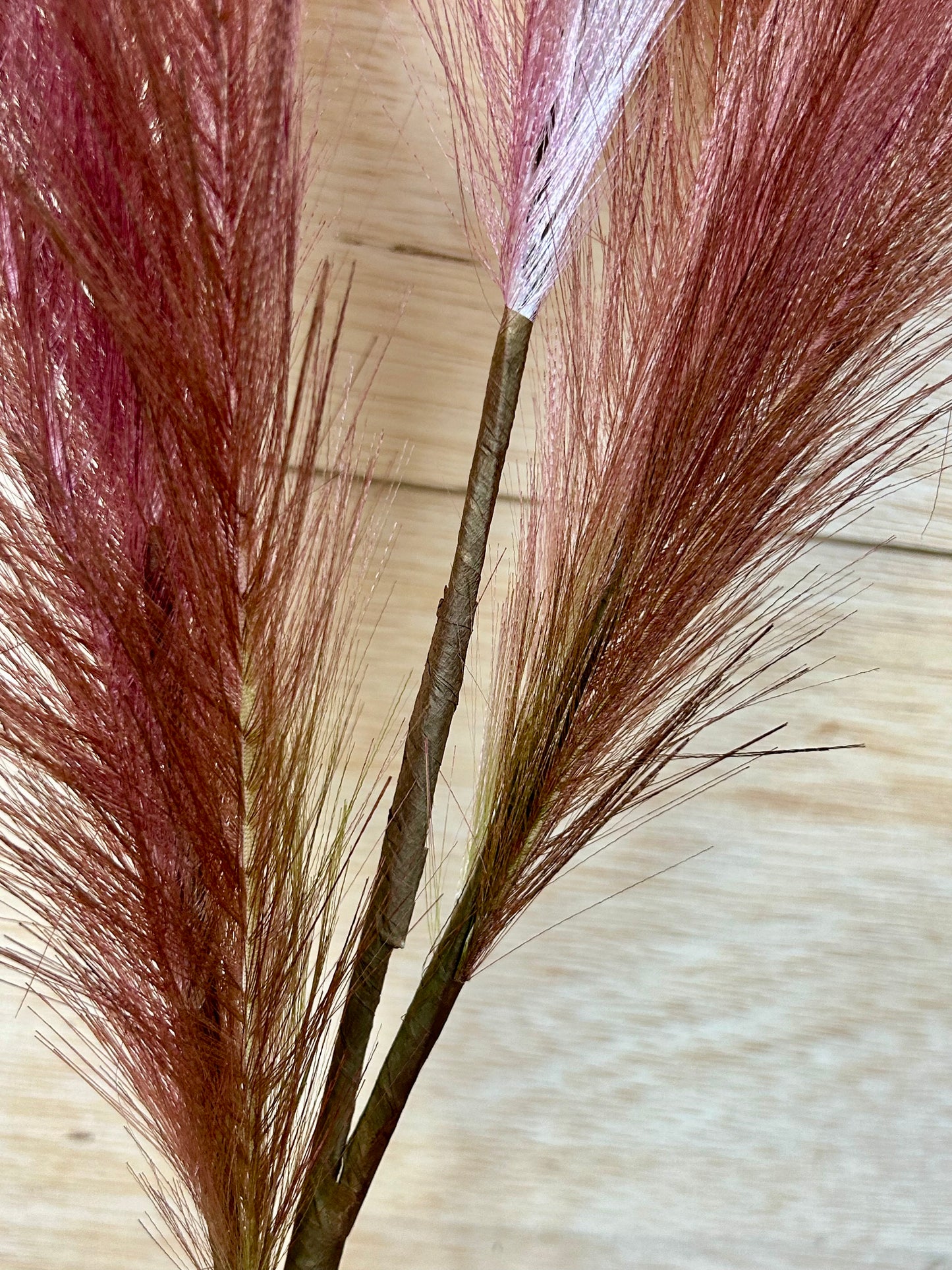 38 Inch Light Green And Dark Pink Plume Spray