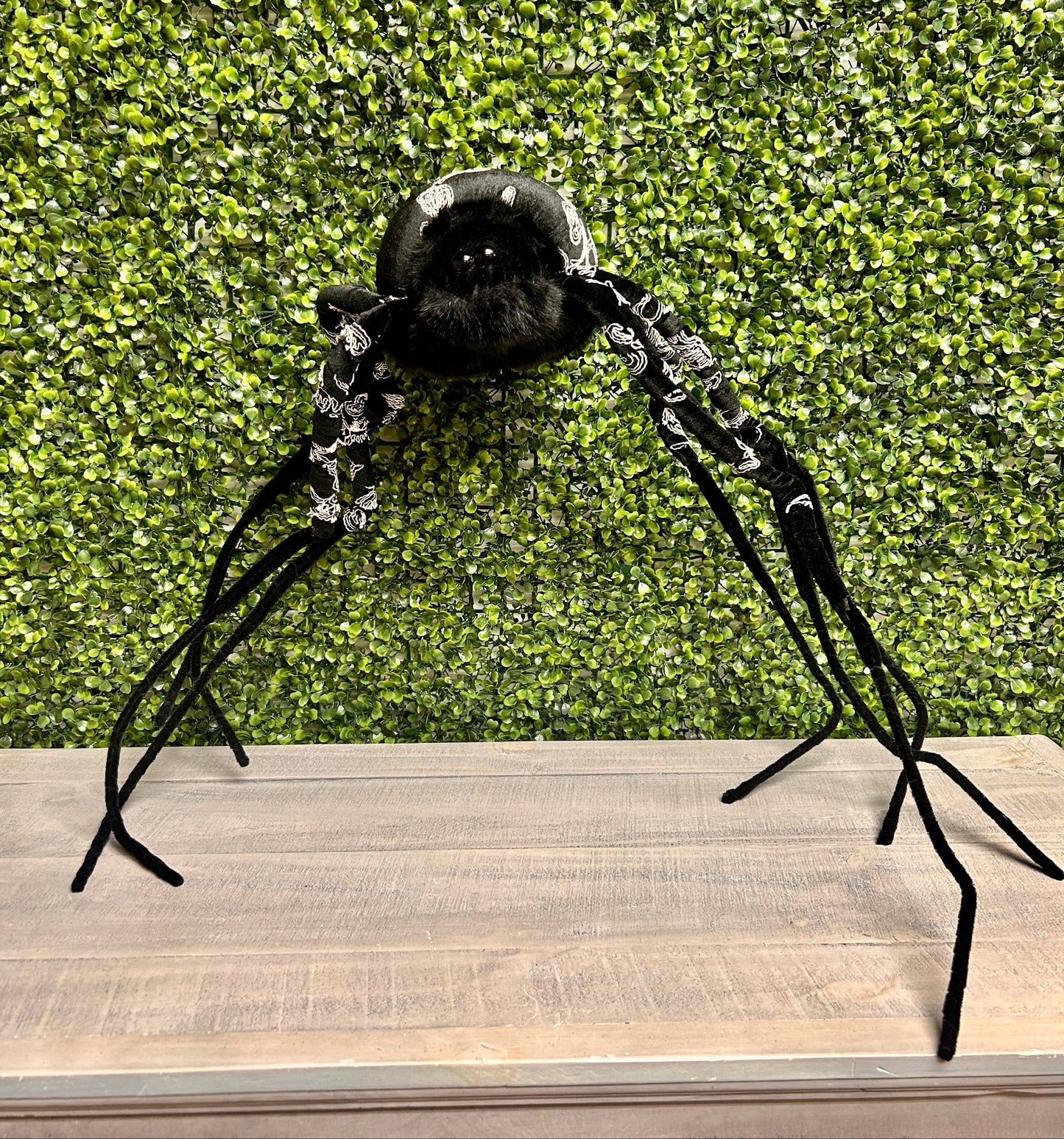 38 Inch Black Spider