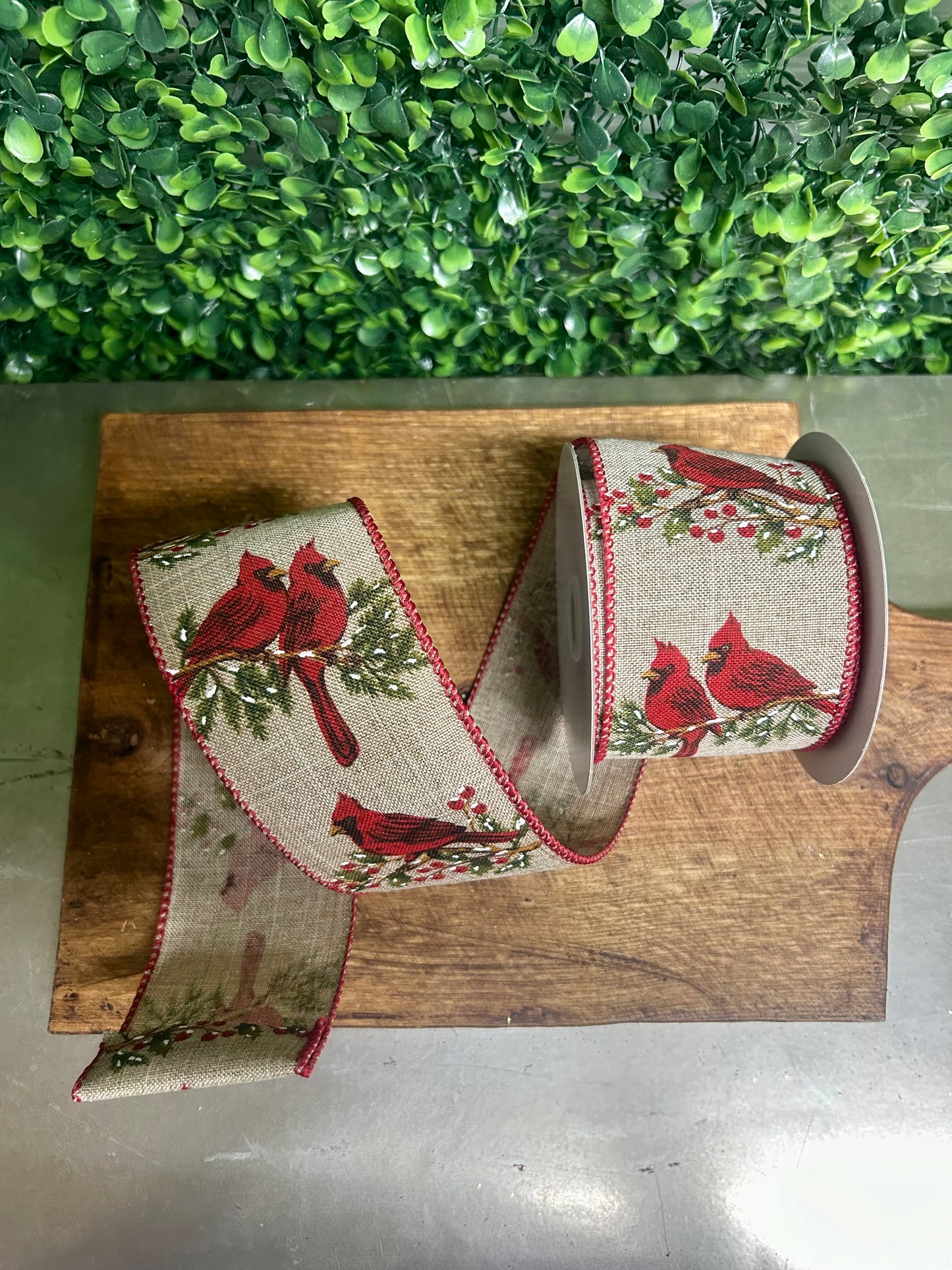 2.5 Inch By 10 Yard Cardinal On A Branch Ribbon