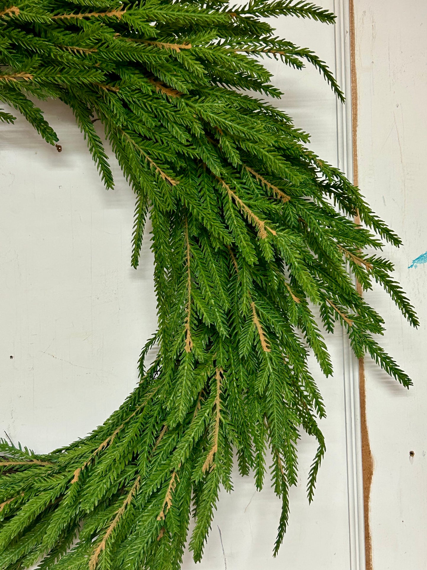 22 Inch Norfolk Pine Wreath