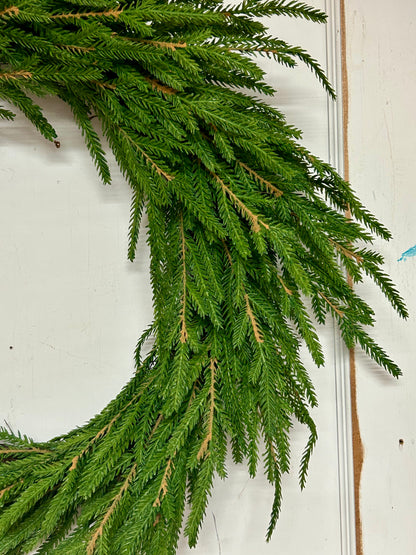 22 Inch Norfolk Pine Wreath