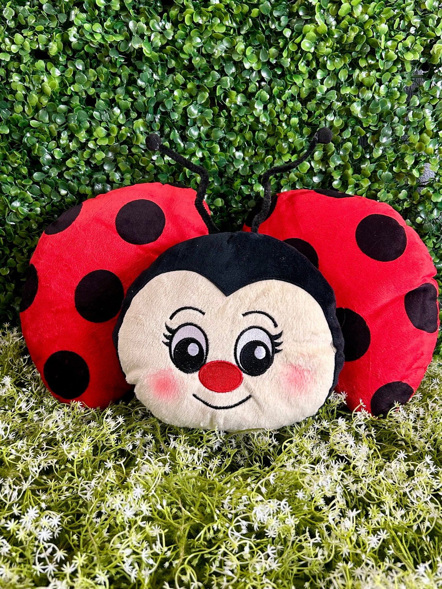 18.5 Inch Ladybug Decor Kit