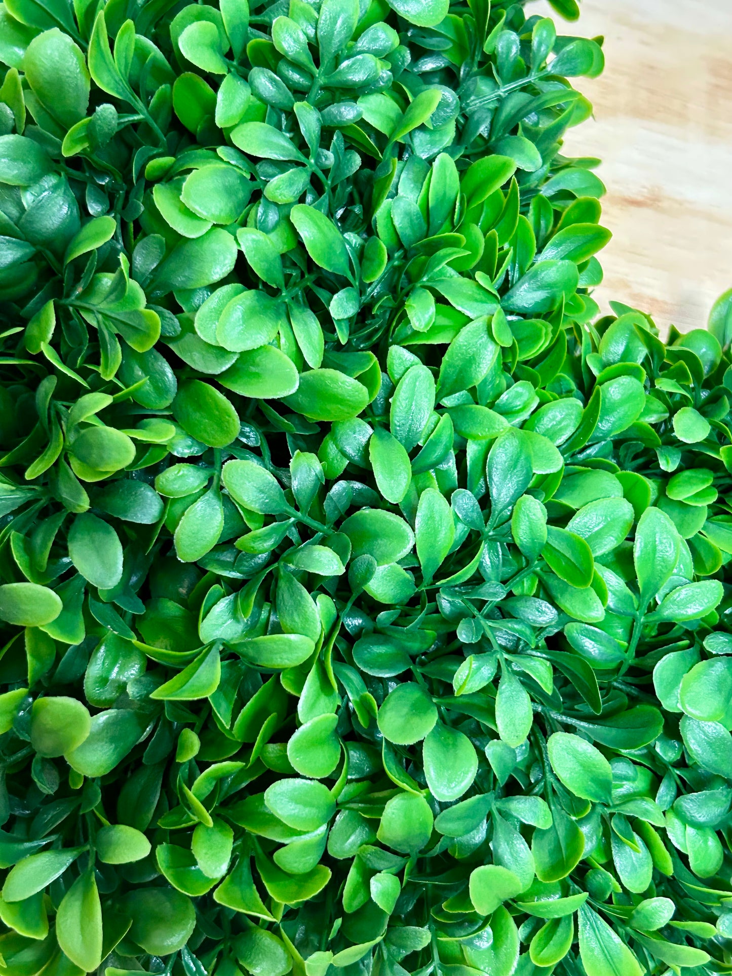 20 Inch Dark Green Boxwood Square Wreath