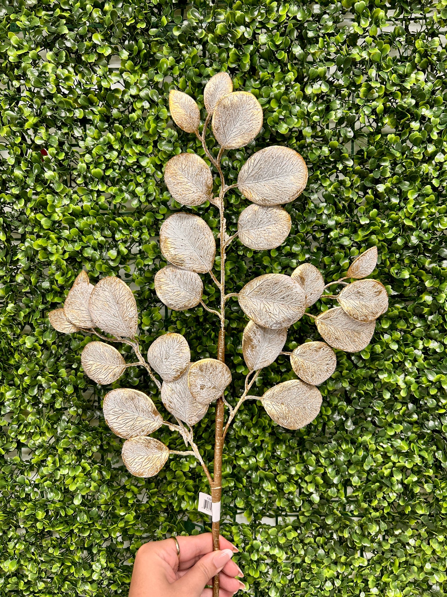 24 Inch Gold Eucalyptus Leaf Spray With Frost