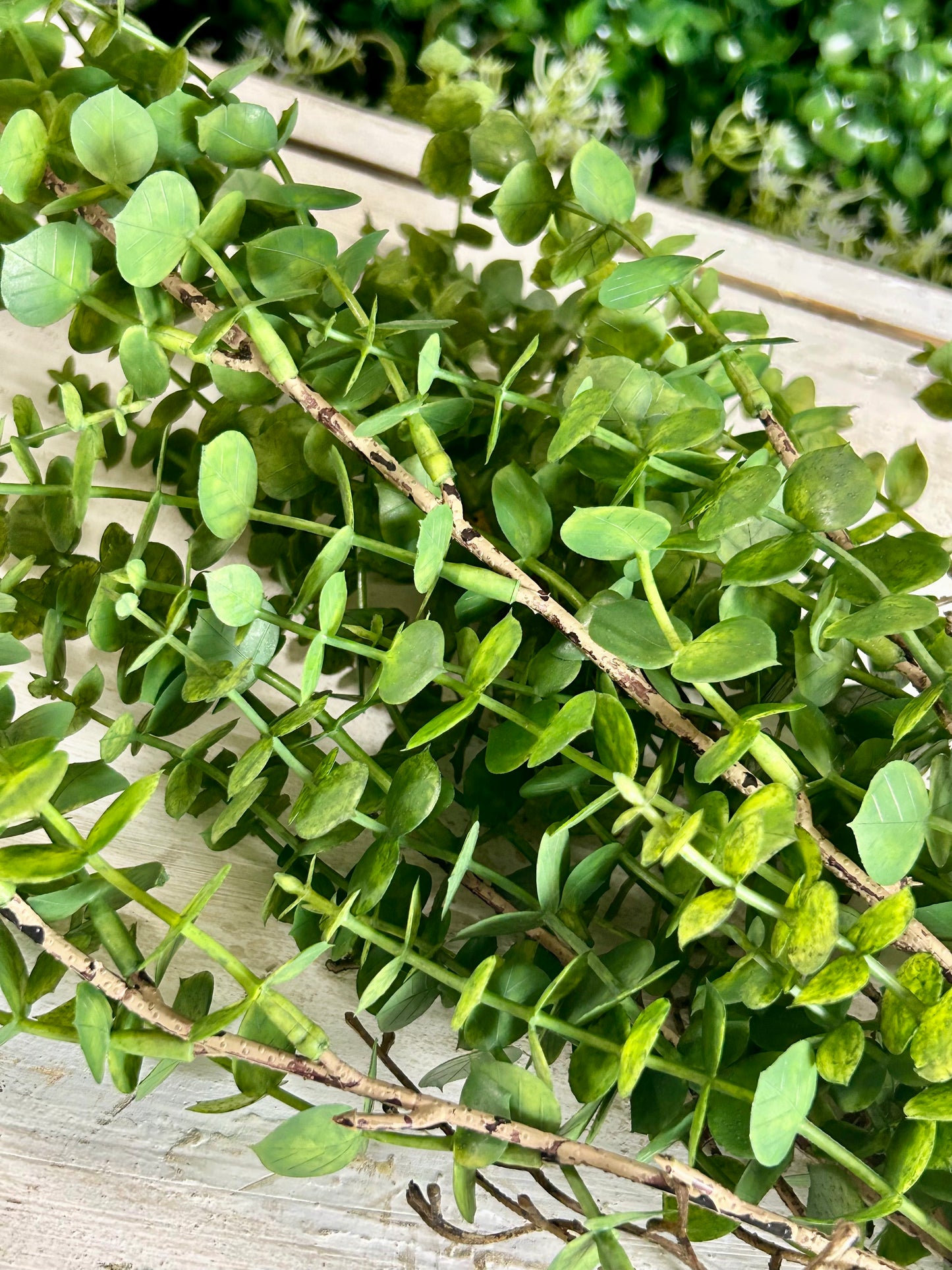24 Inch Dark Green Mini Eucalyptus Bush