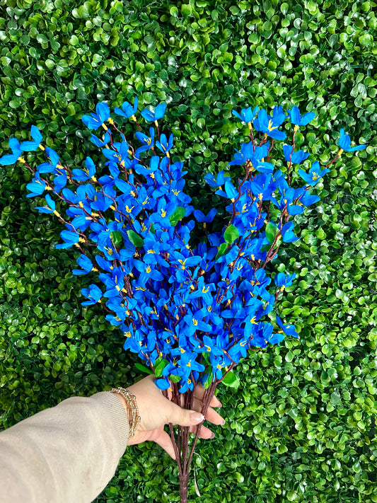 24 Inch Blue Star Blossom Bush