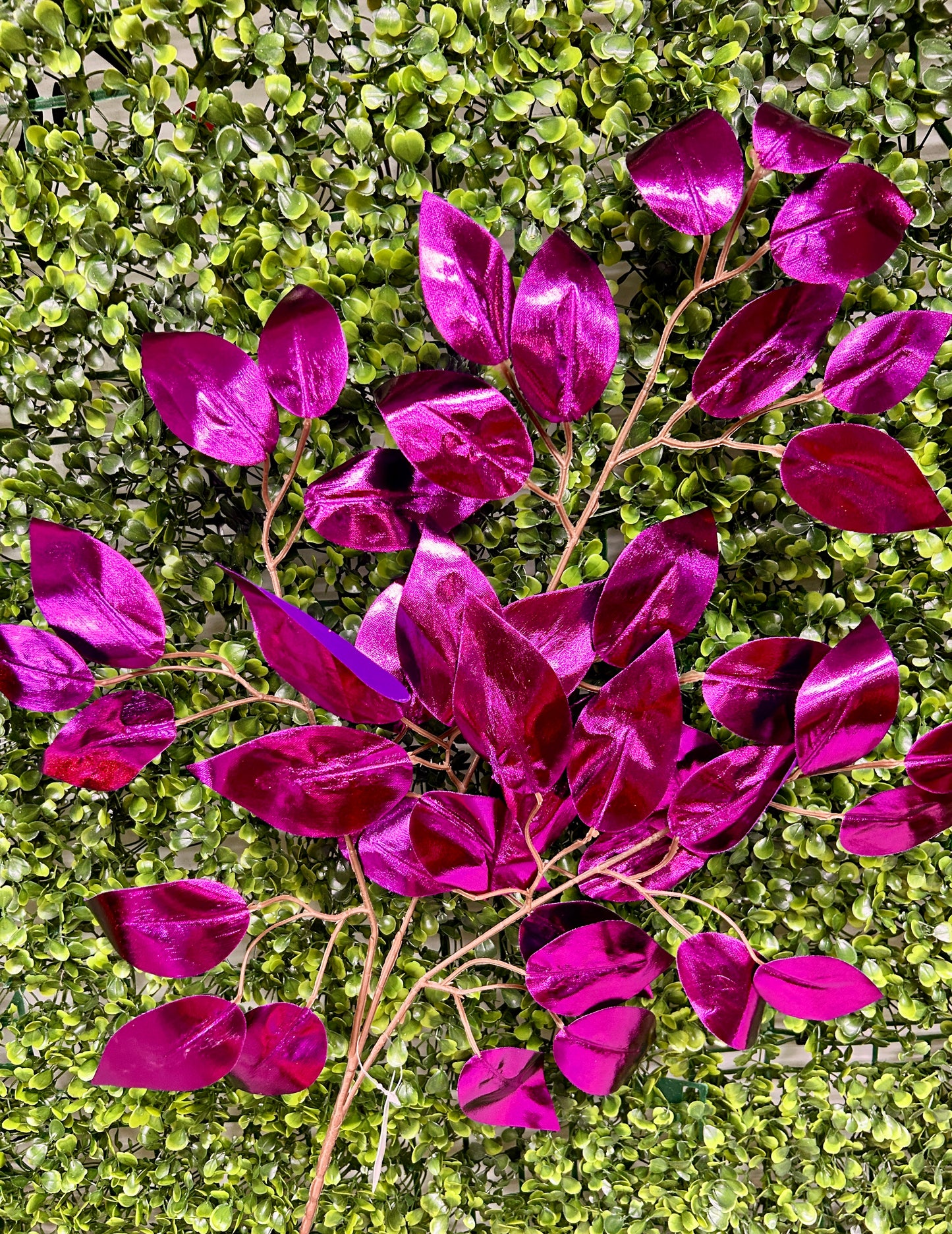 23 Inch Purple Metallic Ficus Spray
