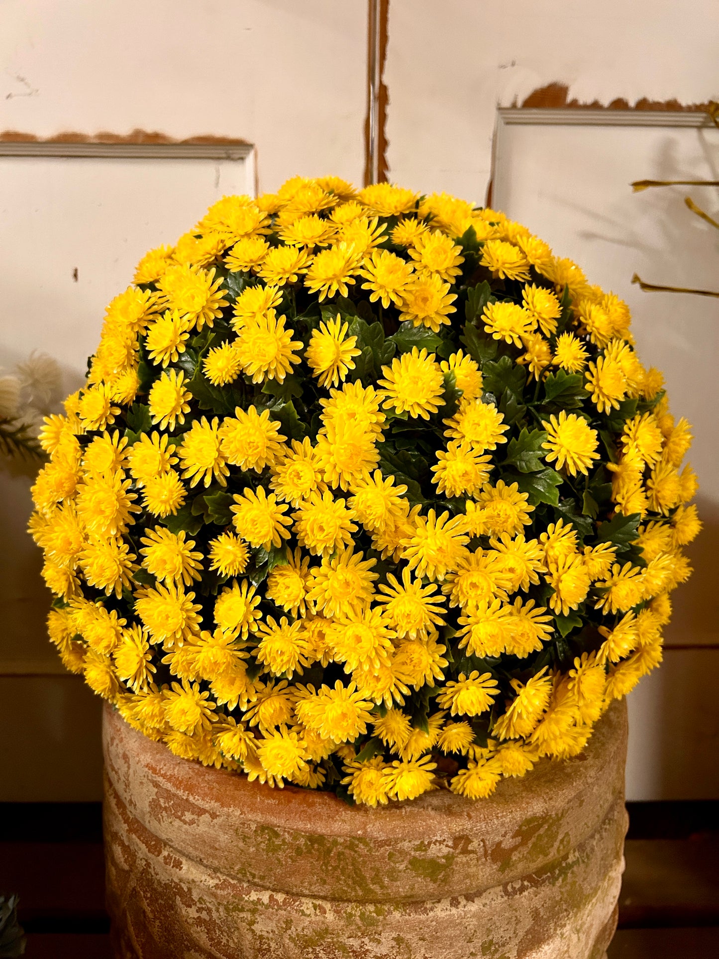 16 Inch Yellow Mum Topiary Ball