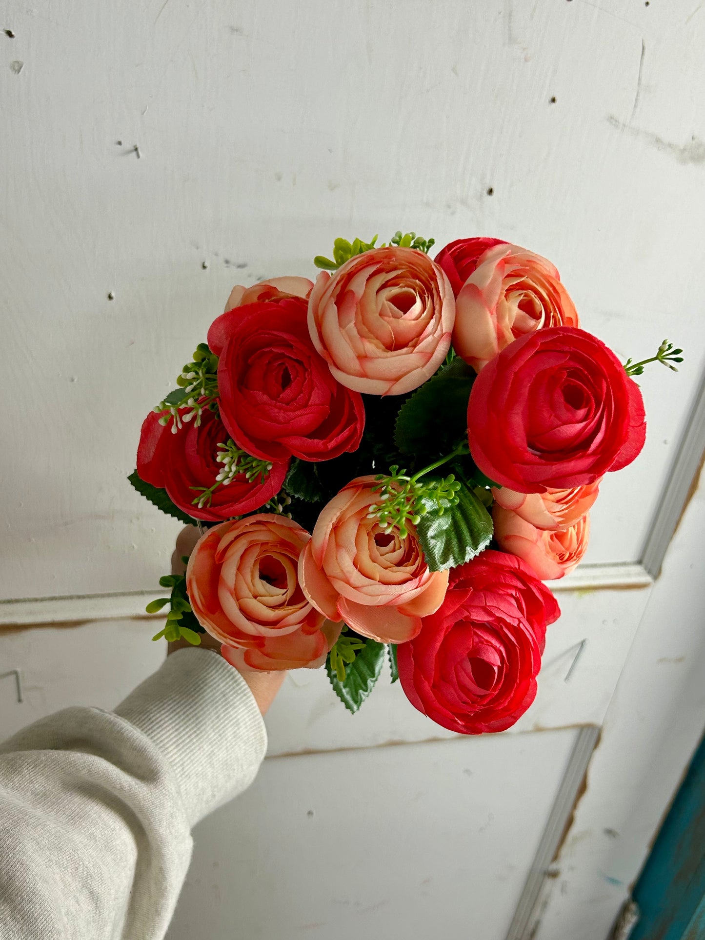 Coral And Pink Ranunculus Bush