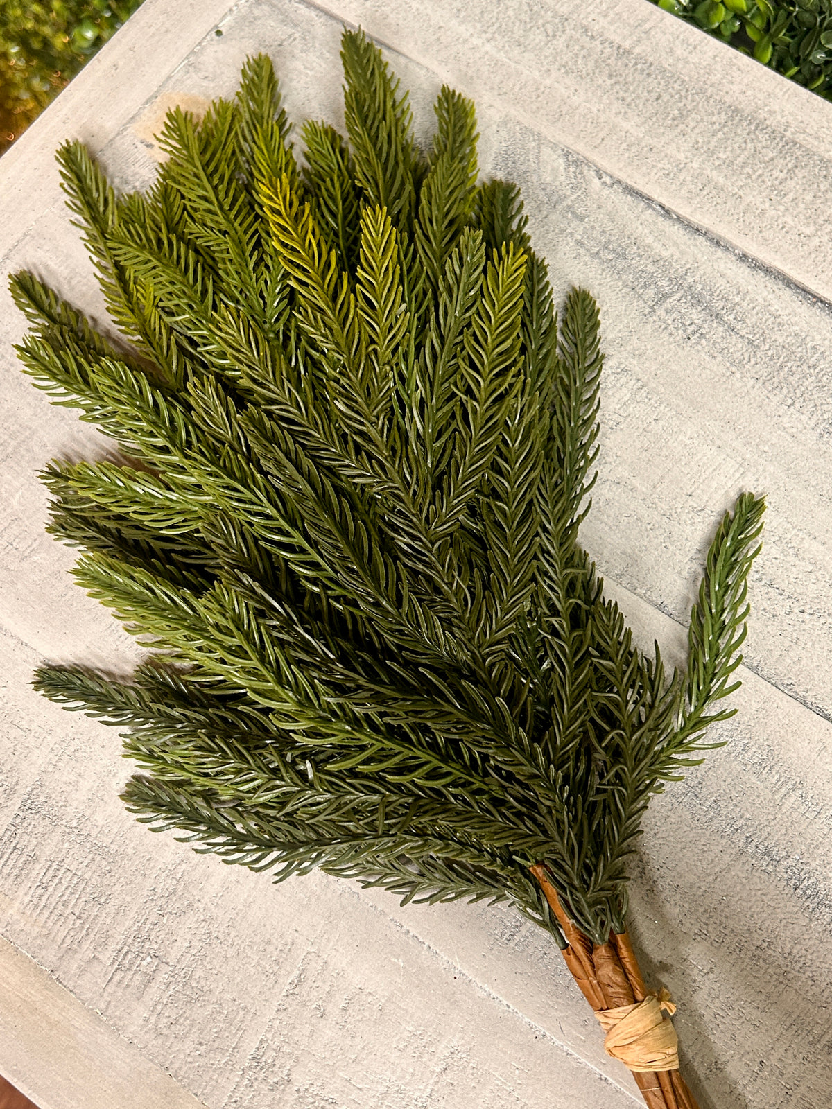 18 Inch Soft Pine Bundle