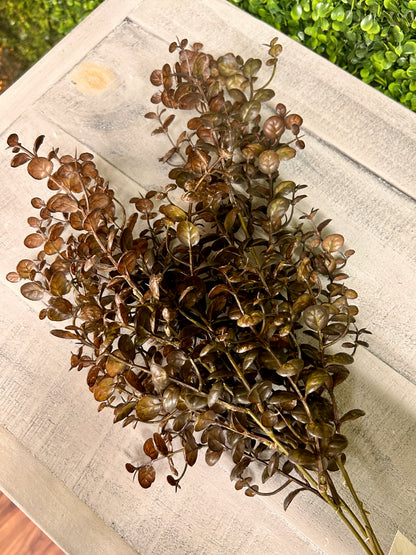 29 Inch Coffee Eucalyptus Spray