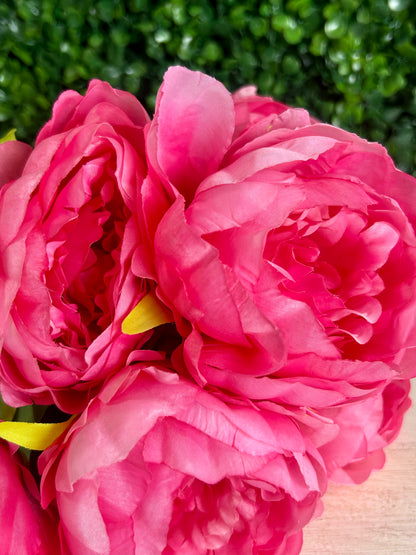 17 Inch Hot Pink Garden Peony Bush