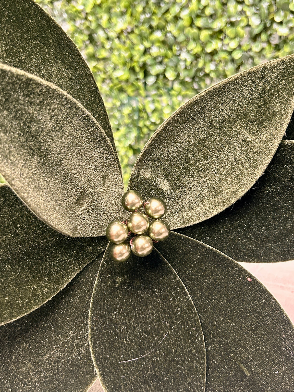 24 Inch Hunter Green Deluxe Velvet Emerald Poinsettia Stem