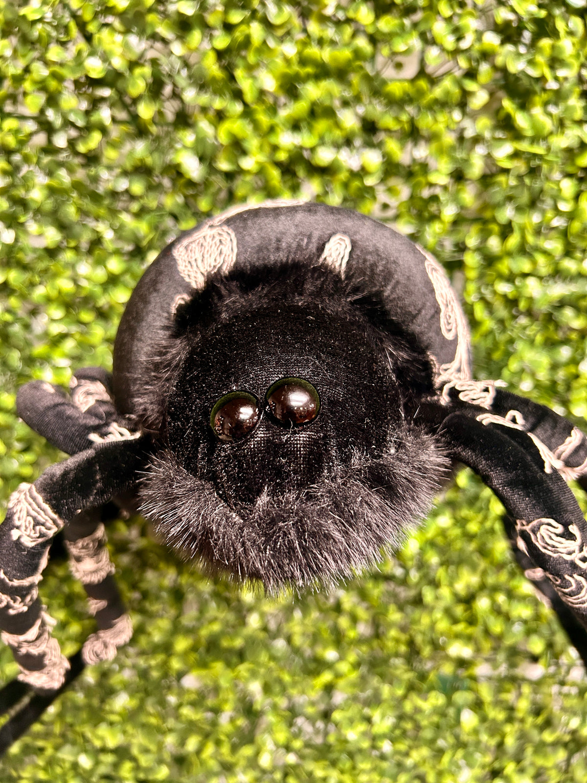 38 Inch Black Spider