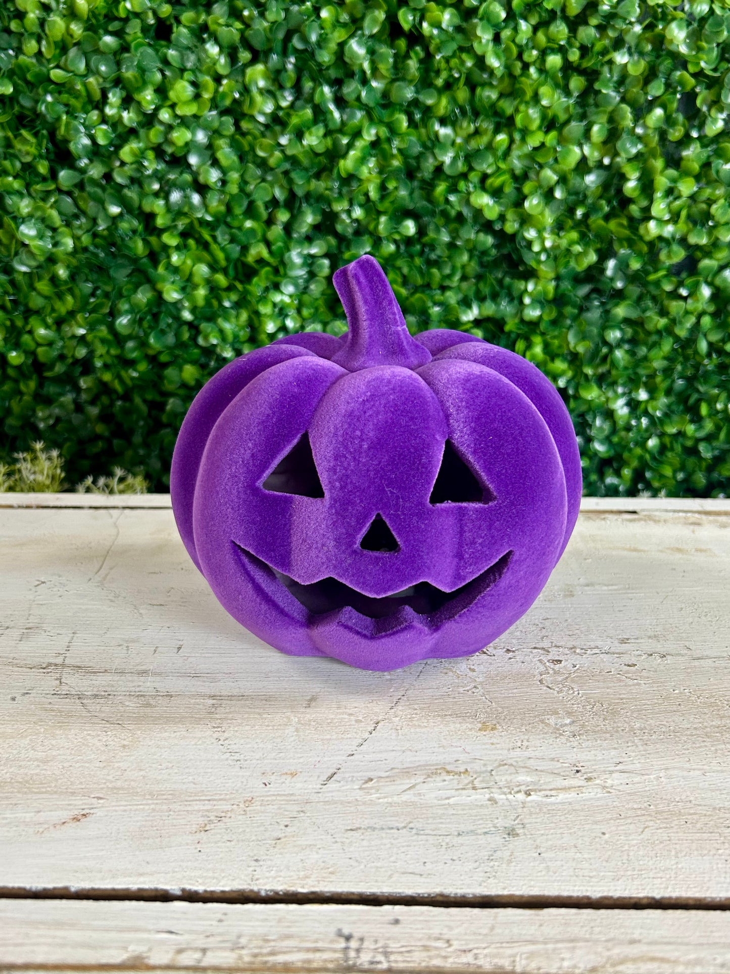 6 Inch Lighted Resin Flocked Halloween Pumpkin Three Styles