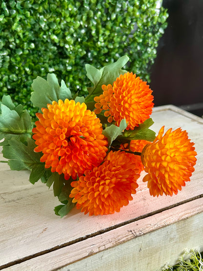 17 Inch Orange Dahlia Bush