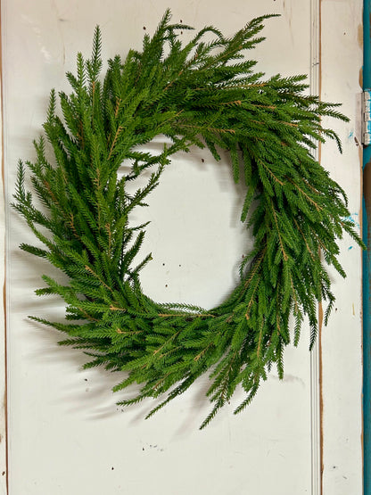 22 Inch Norfolk Pine Wreath