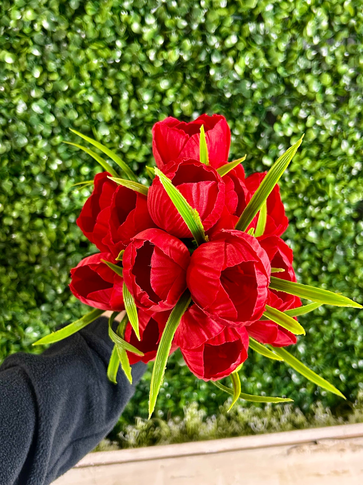 19 Inch Red Tulip Bush