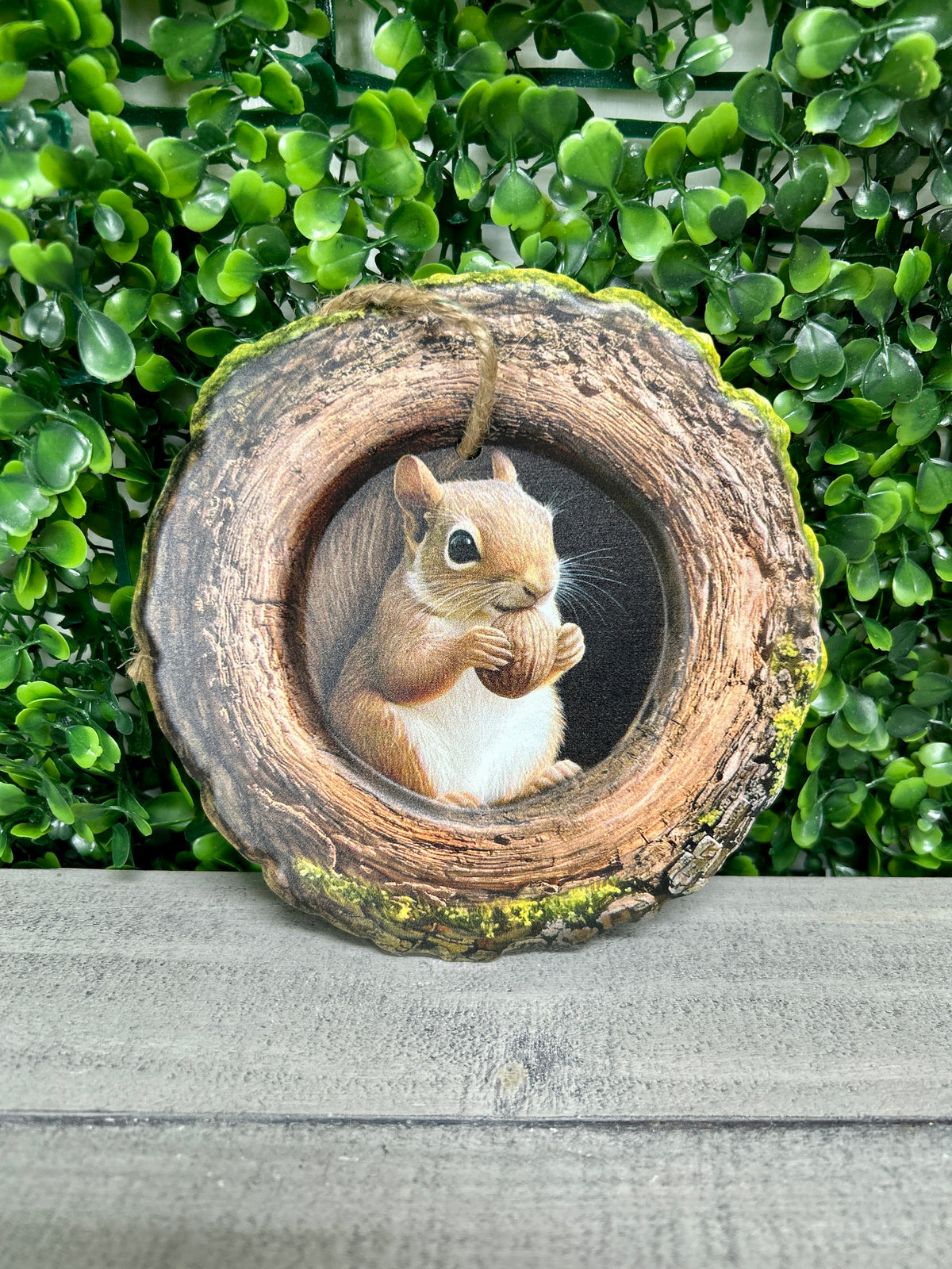 5.25 Inch Squirrel In A Tree Metal Sign