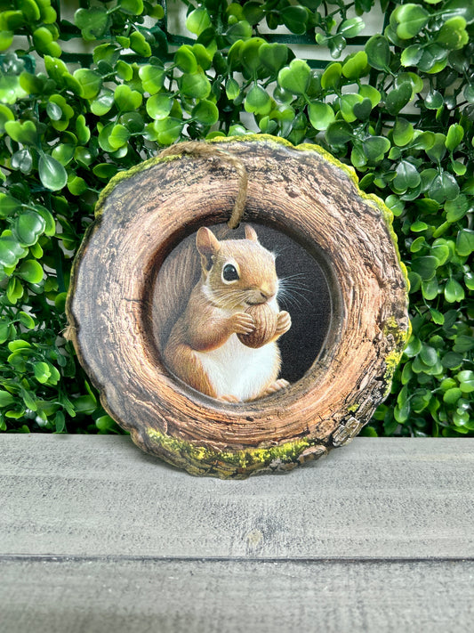 5.25 Inch Squirrel In A Tree Metal Sign
