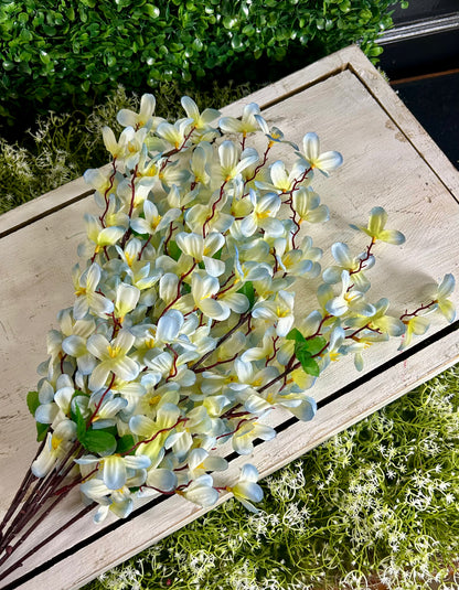 24 Inch Blue And Green Tweedia Bush