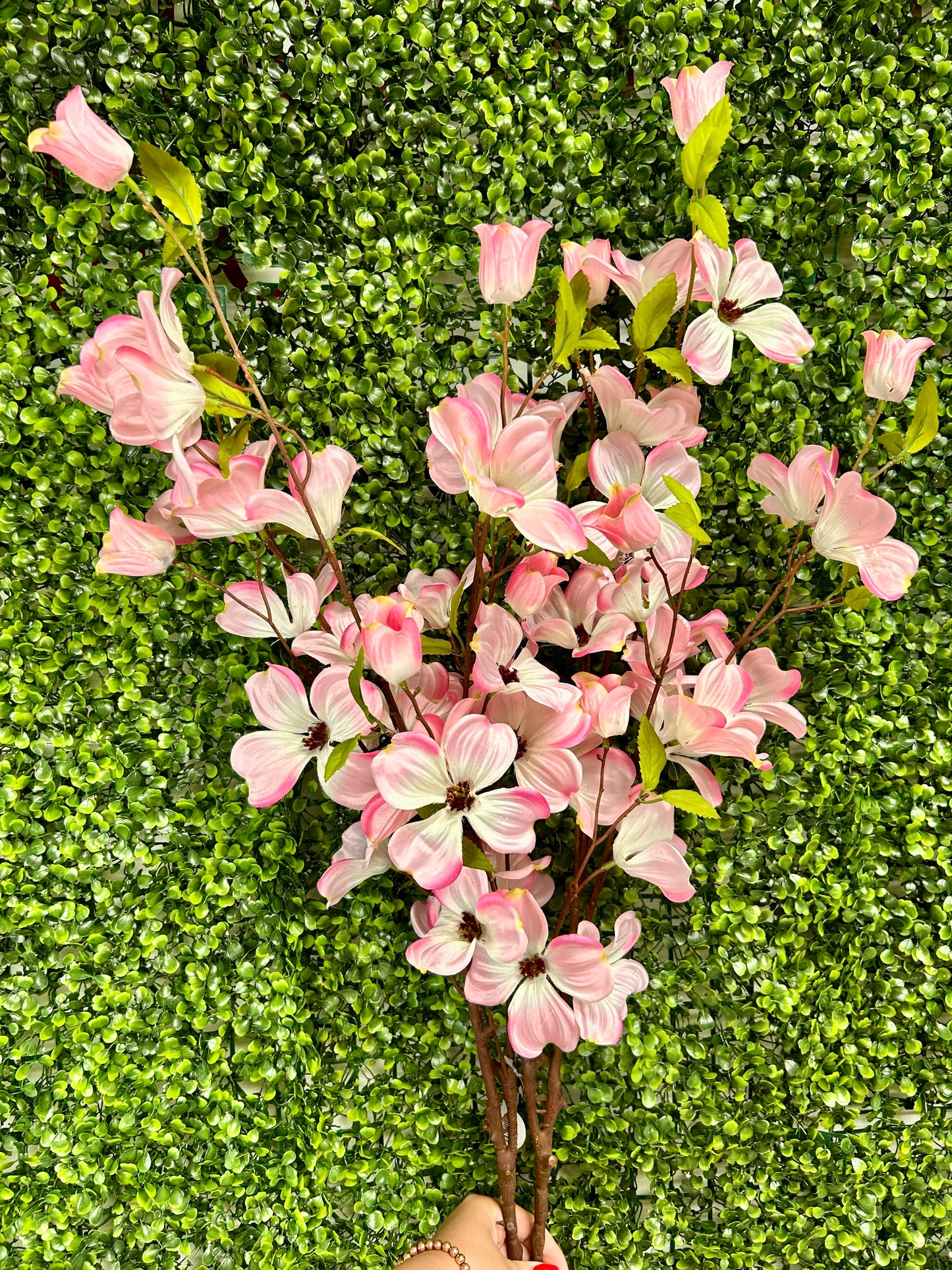 49 Inch Southern Dogwood Bundle