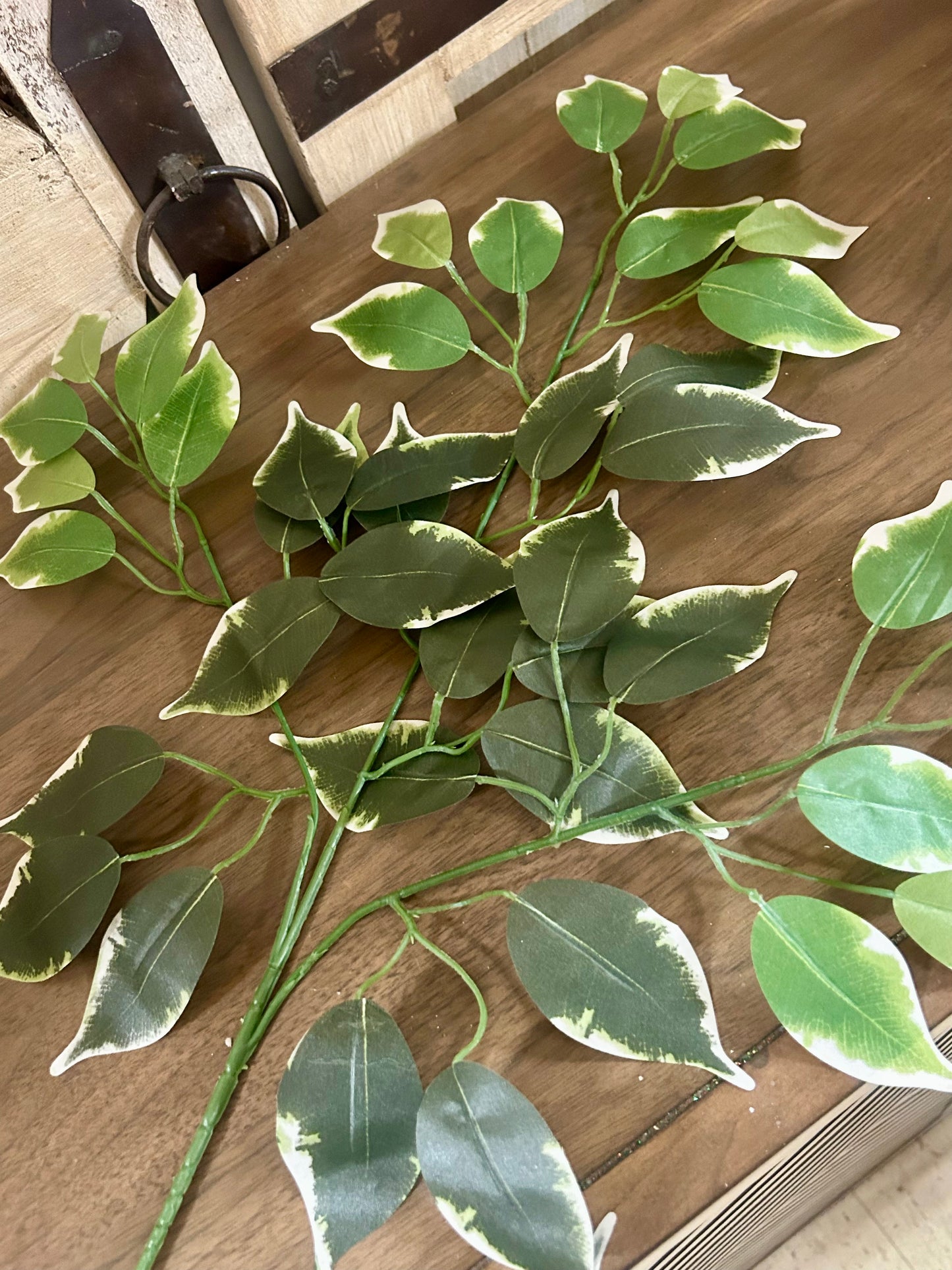23 Inch Silk Ficus Leaf Spray